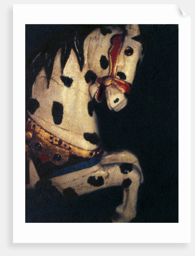 Carousel Horse by Jennifer Kennard