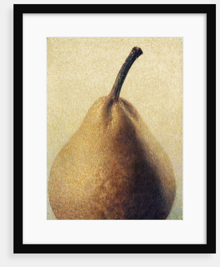 D'Anjou Pear by Jennifer Kennard