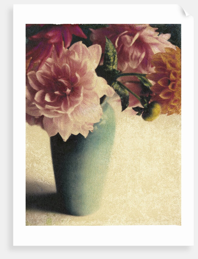 Patrick's Dahlias by Jennifer Kennard