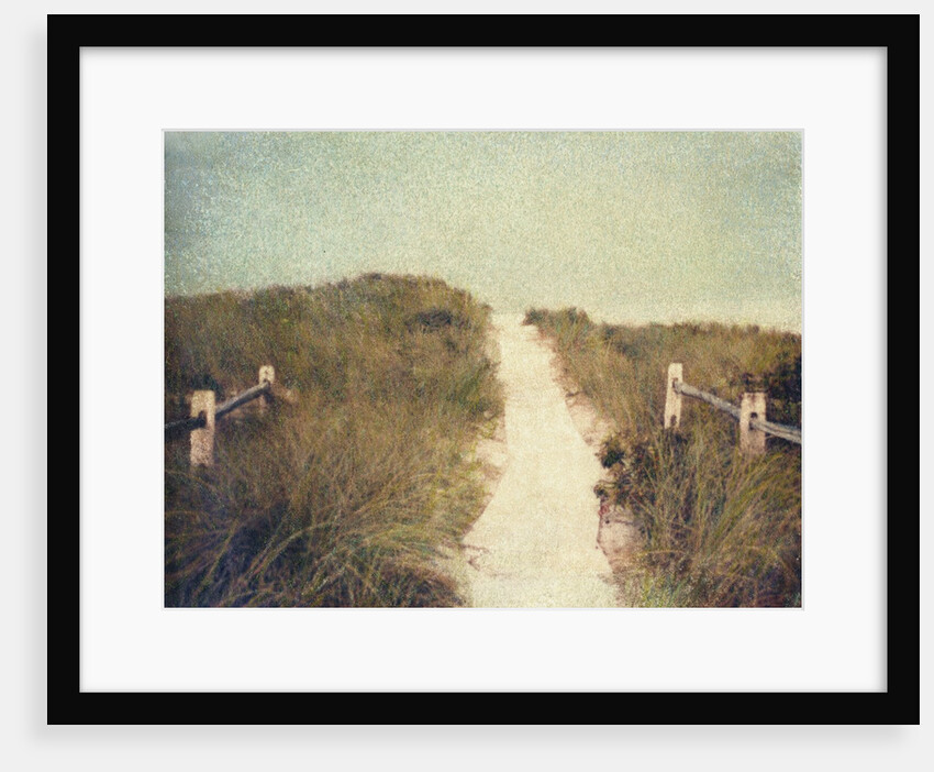 Beach Trail by Jennifer Kennard