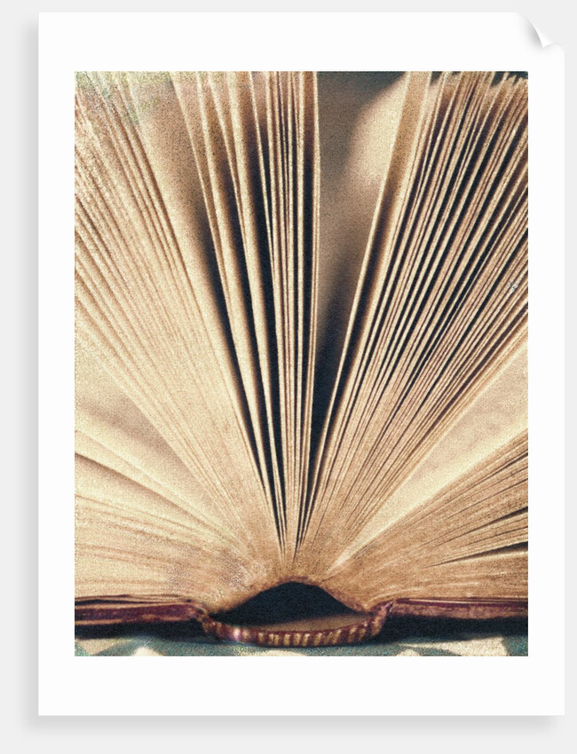Open Book #8 by Jennifer Kennard