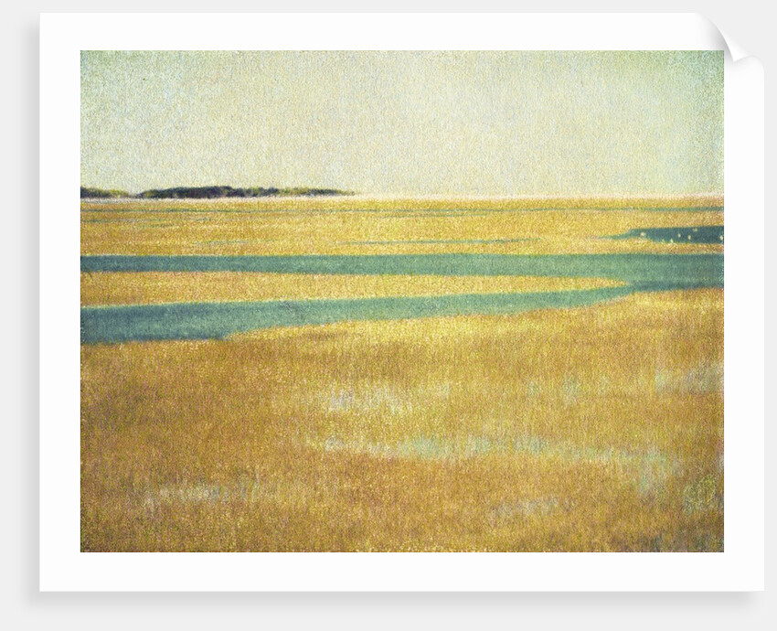 Cape Cod Tidelands #2 by Jennifer Kennard