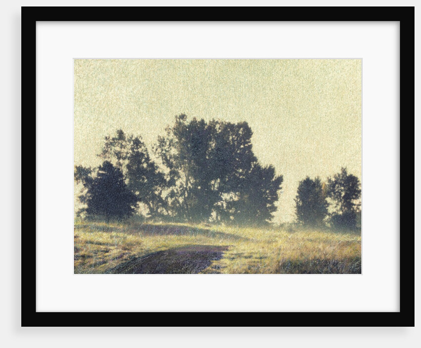 Foggy Morning by Jennifer Kennard