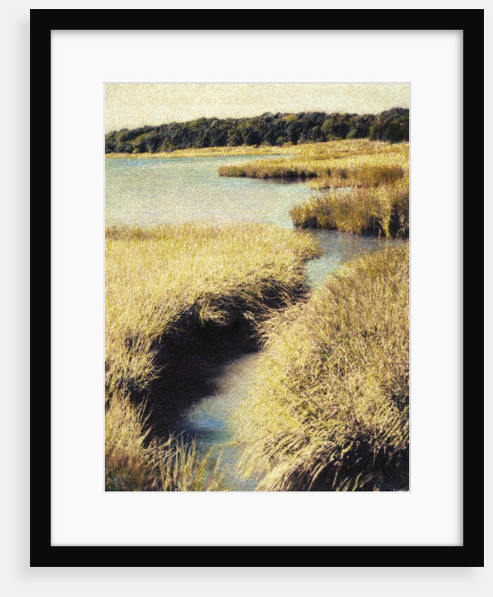Cape Cod Tidelands by Jennifer Kennard