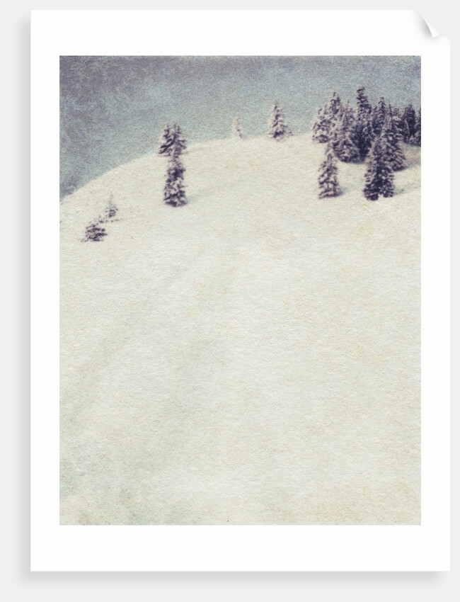 Early Snow in the Methow by Jennifer Kennard