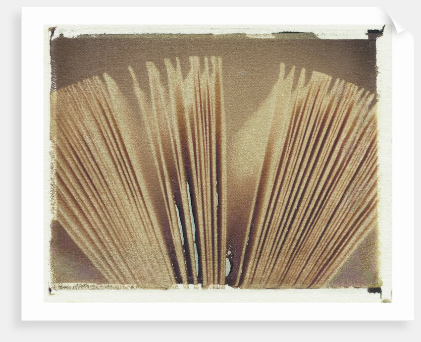 Book Pages #2 by Jennifer Kennard