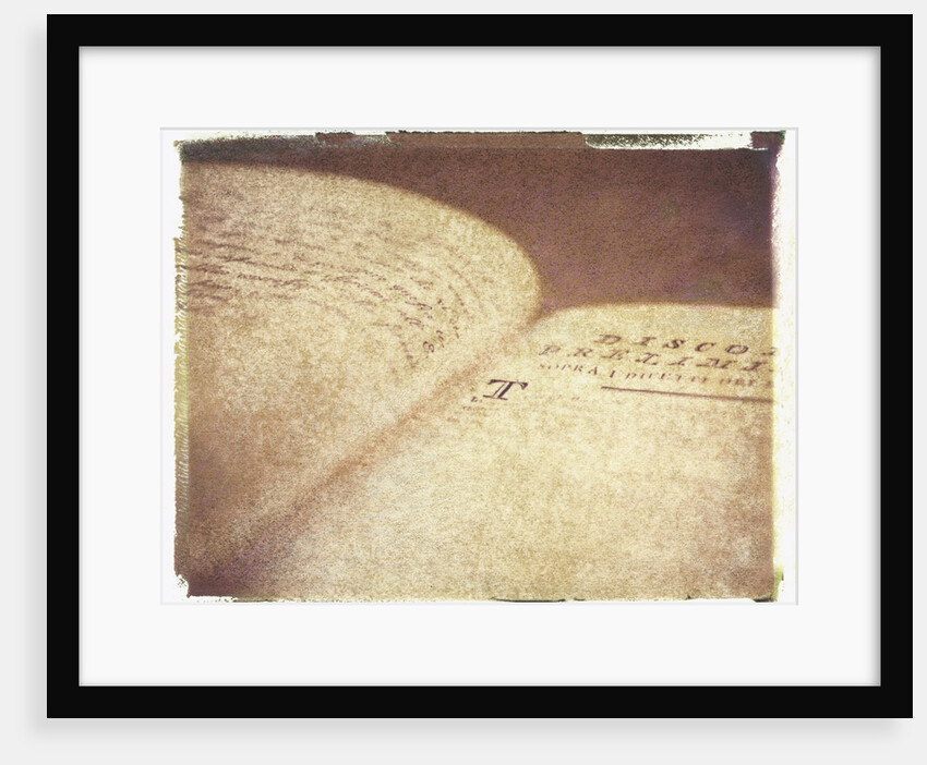 16th-Century Italian Book #2 by Jennifer Kennard