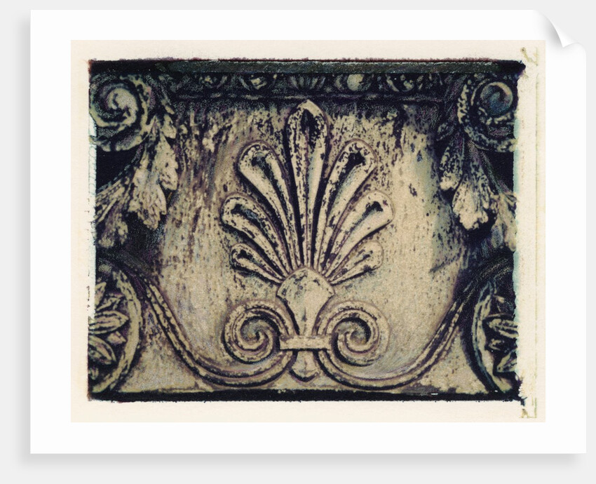 Fleur de Lis 2 by Jennifer Kennard