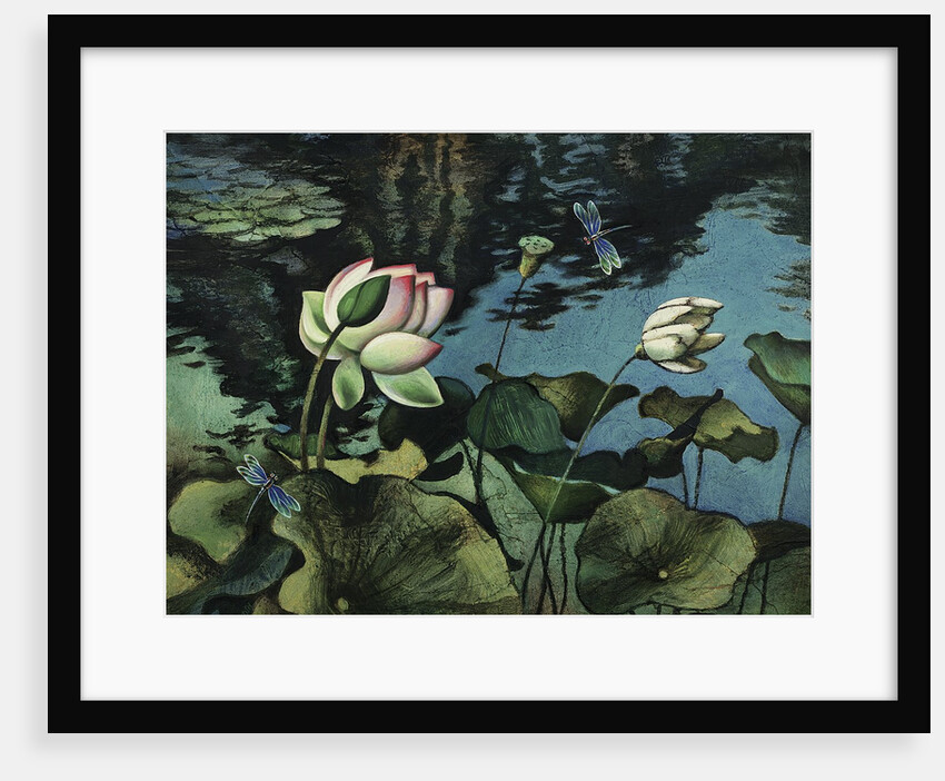 Lotus Collage by Robert McIntosh