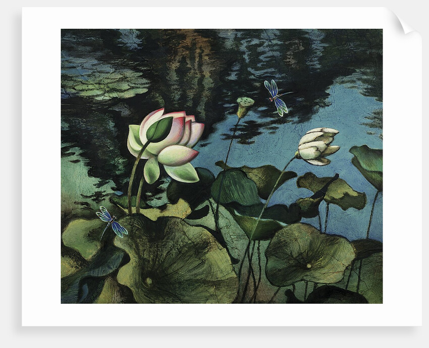 Lotus Collage by Robert McIntosh