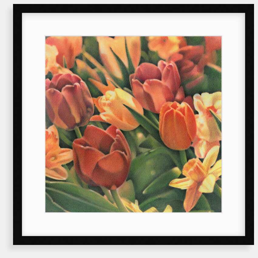 Tulips by Kirsten Soderlind