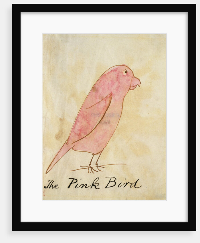 The Pink Bird by Edward Lear