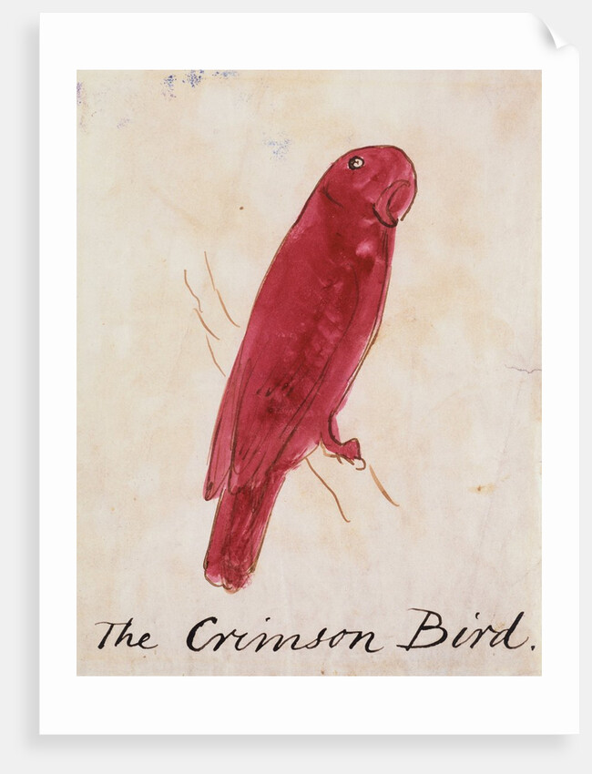 The Crimson Bird by Edward Lear