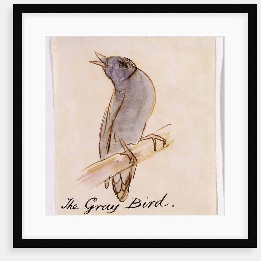 The Gray Bird by Edward Lear