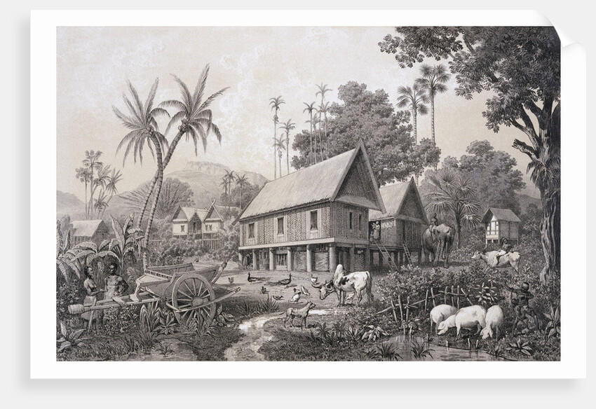Siamese Laos Village of Traditional Houses in Stilts by Anonymous