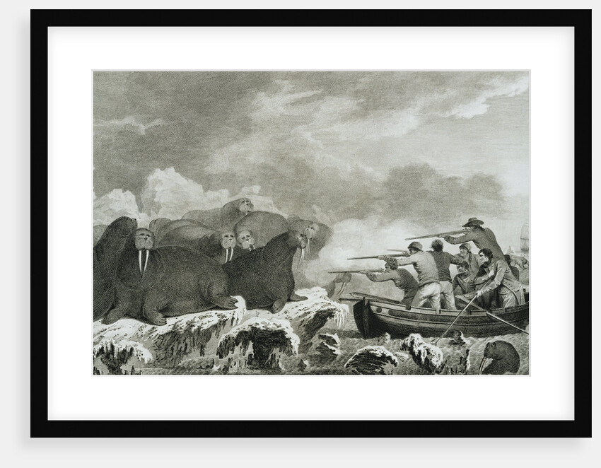 Captain Cook's Men Shooting Sea Horses by John Webber