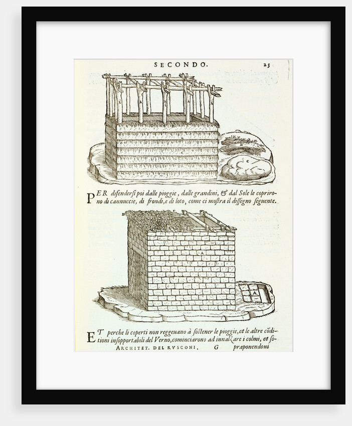 Illustration of Vernacular Architecture by Giovanni Antonio Rusconi