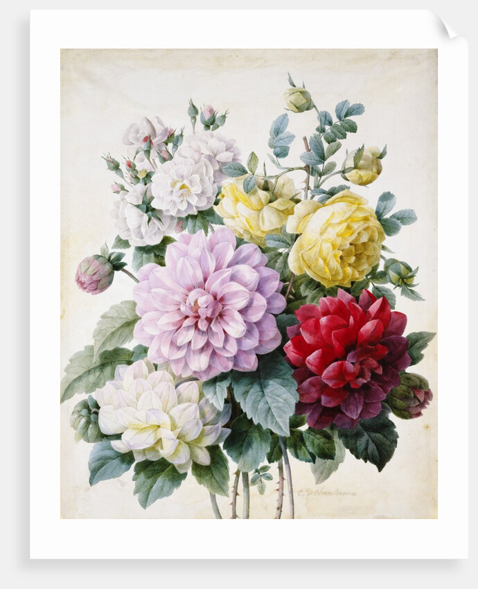Bouquet of Dahlias and Roses by Camille de Chantereine