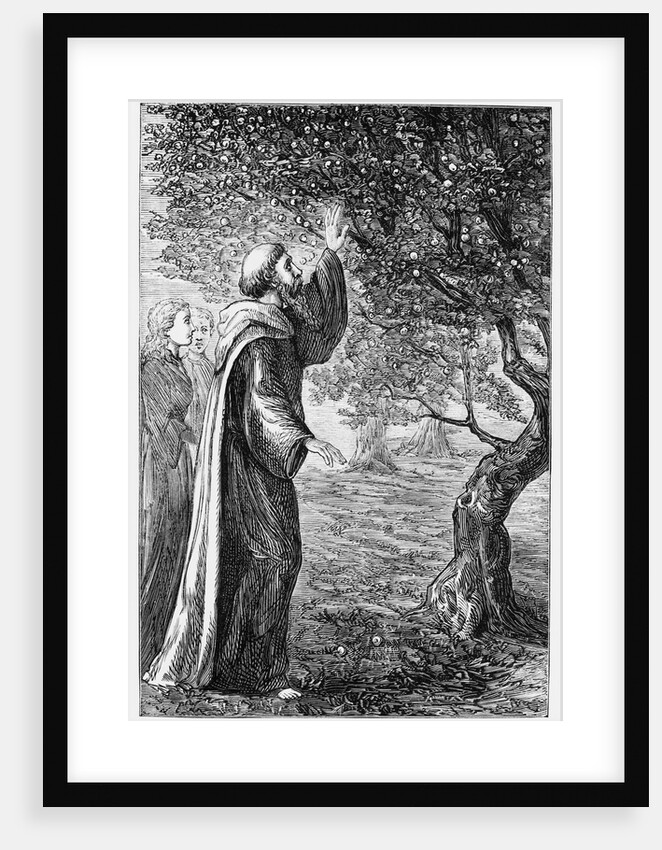 Illustration of Saint Columba Blessing the Apples by Anonymous