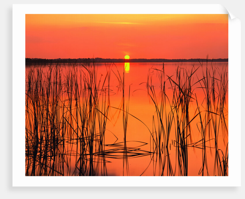 Sunset Over Lake Hamilton by Anonymous
