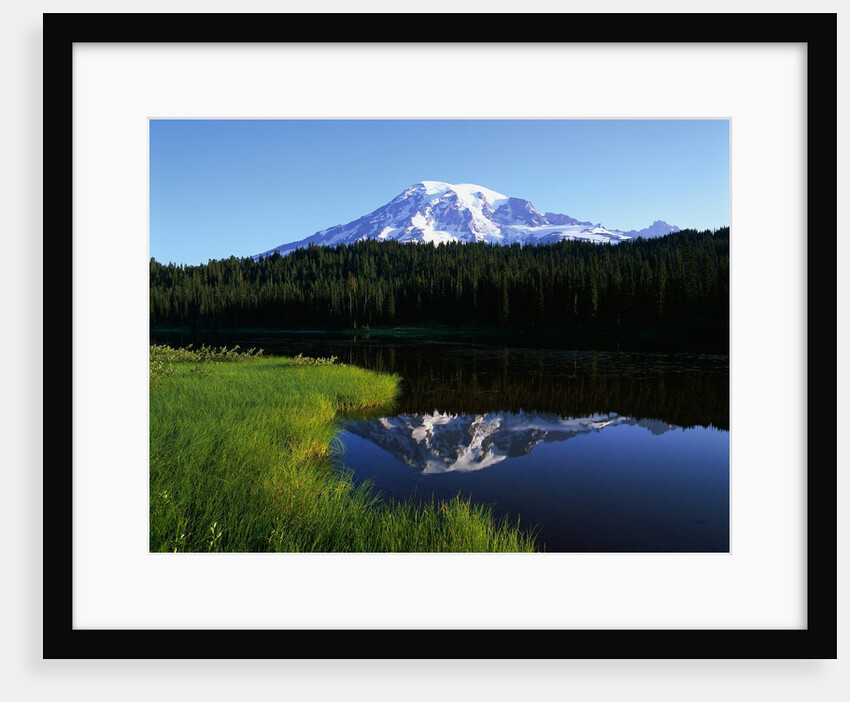 Mt. Rainier by Anonymous
