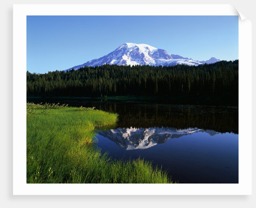 Mt. Rainier by Anonymous