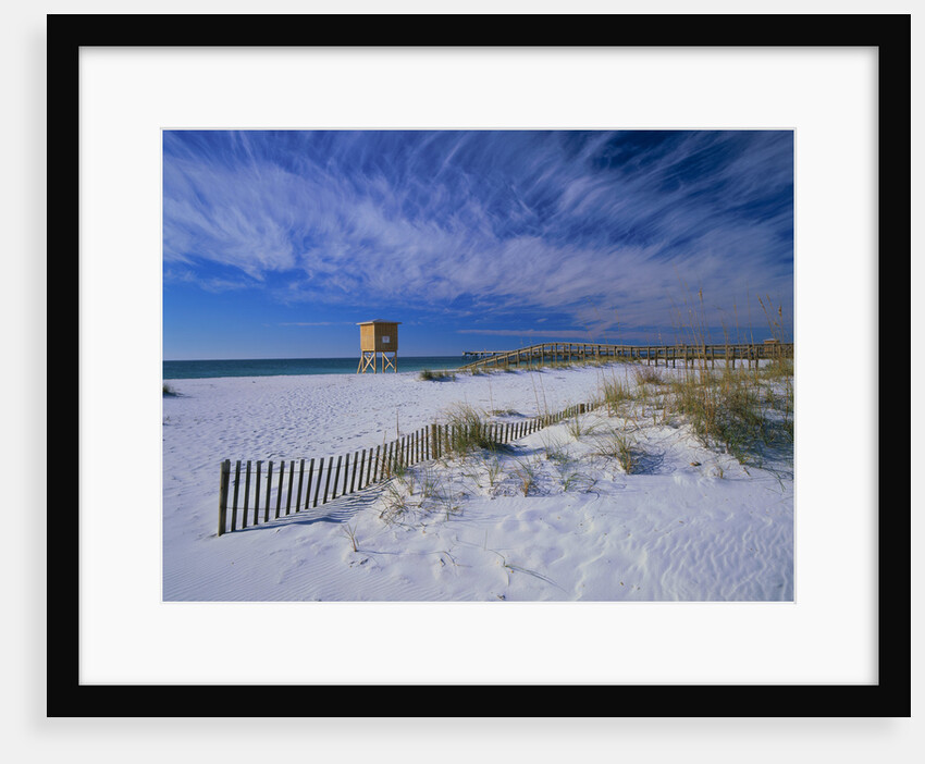 White Sands of Santa Rosa Island by Anonymous