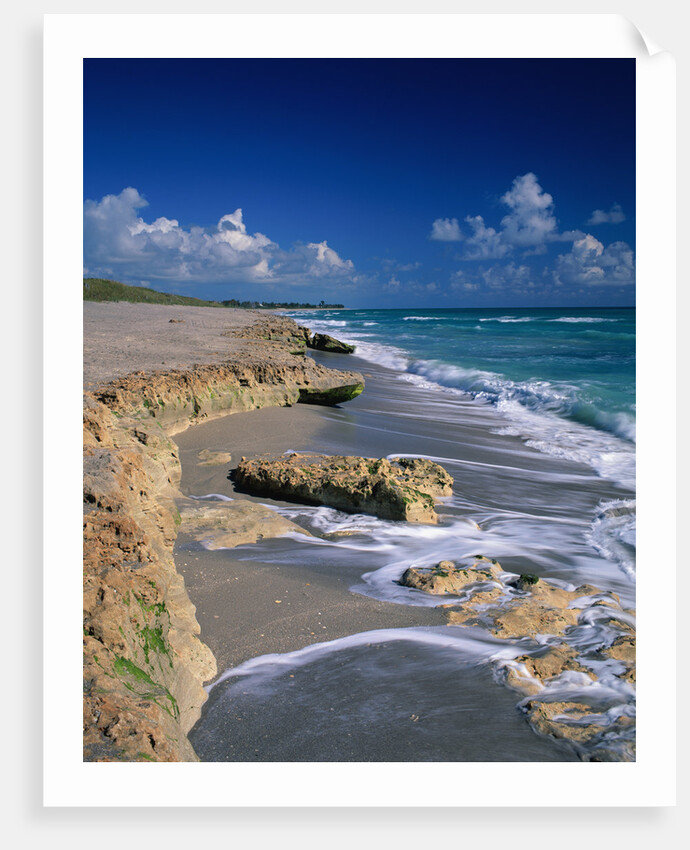 Beach on Jupiter Island by Anonymous