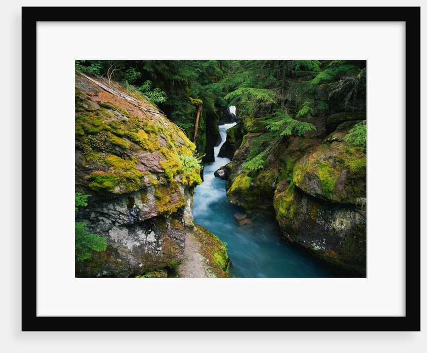 Avalanche Creek by Anonymous