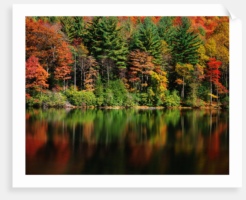 Reflections on Lake Conasauga by Corbis