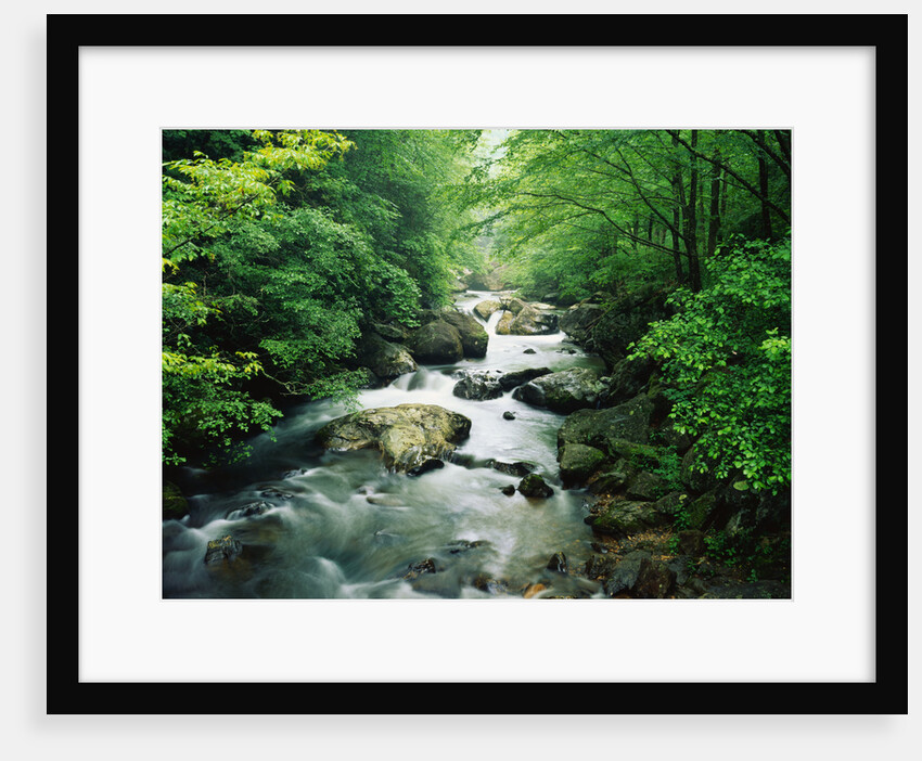 Tallulah River by Anonymous