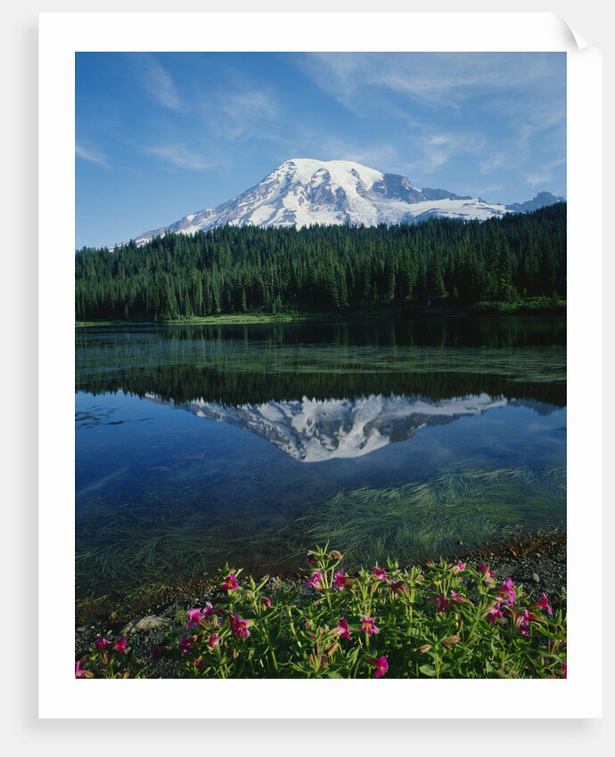 Reflection of Snowcovered Mount Rainier on Reflection Lake by Anonymous