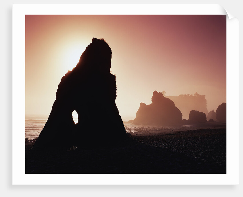 Sea Stacks in Fog Along Ruby Beach by Anonymous
