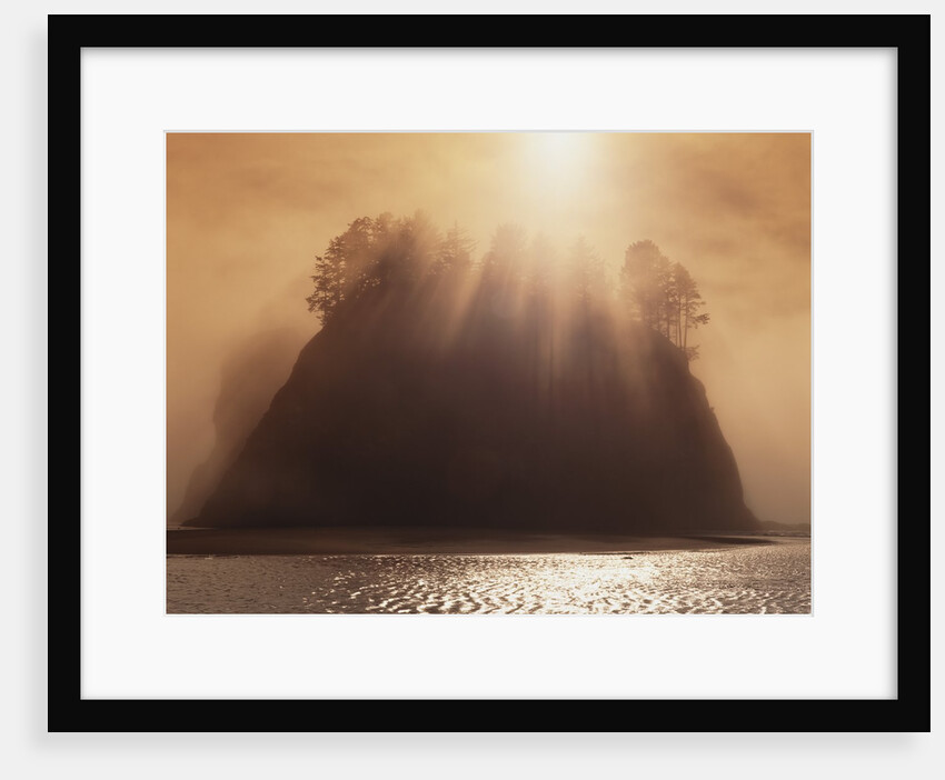 Sun Beams Breaking through Fog over Sea Stack by Anonymous