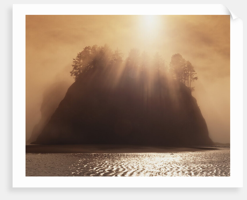 Sun Beams Breaking through Fog over Sea Stack by Anonymous