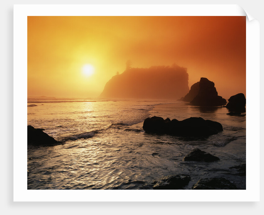 Foggy Sunset at Ruby Beach by Anonymous