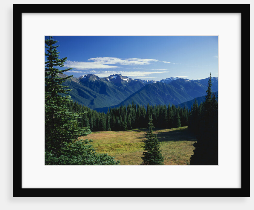 Gray Wolf Ridge by Anonymous
