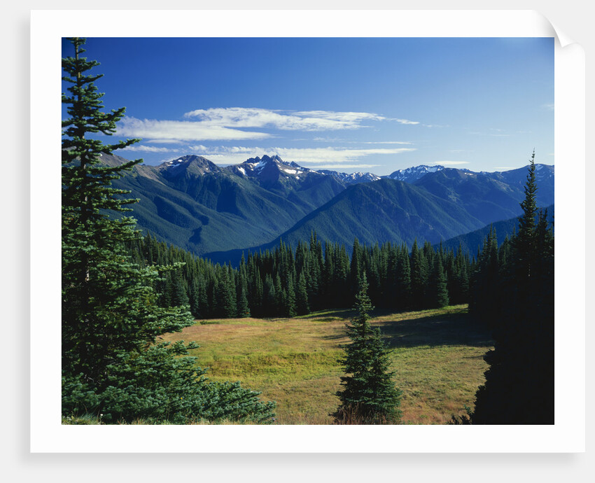 Gray Wolf Ridge by Anonymous
