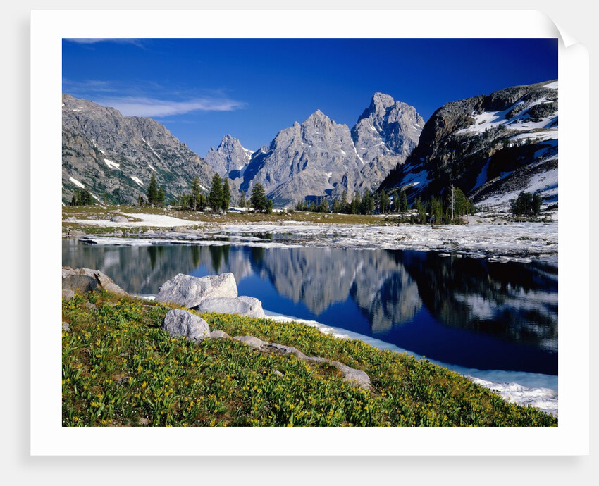 Grand Teton Behind Lake Solitude by Anonymous