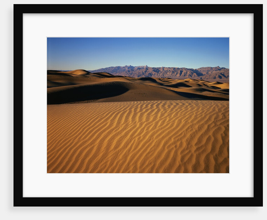 Death Valley Sand Dunes by Anonymous