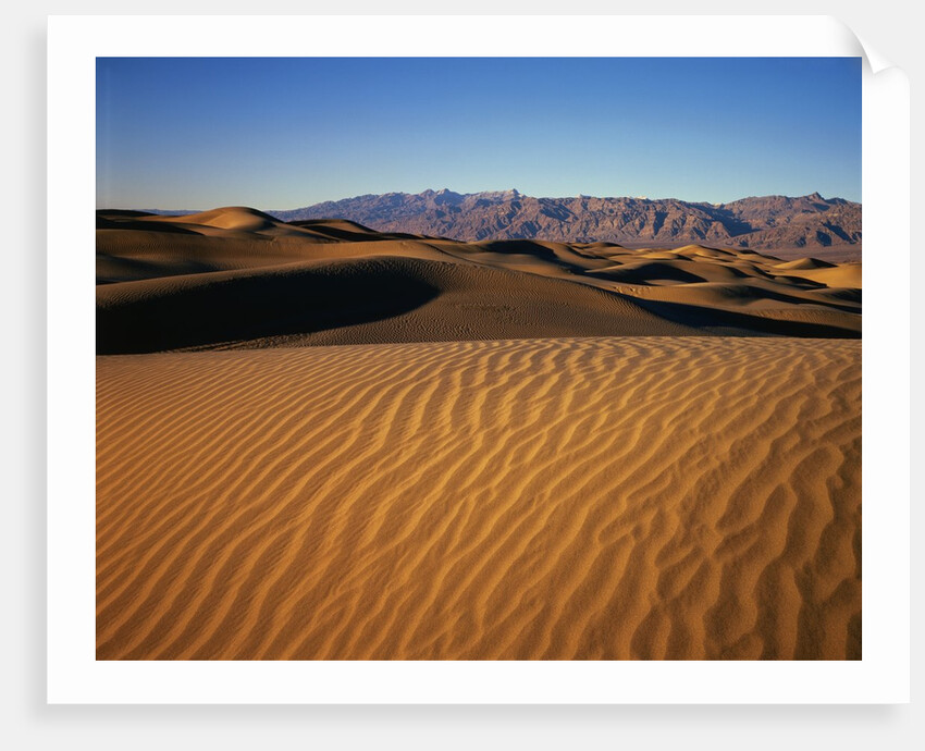 Death Valley Sand Dunes by Anonymous