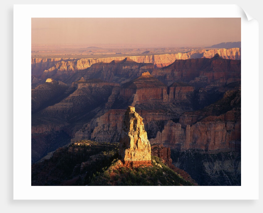 Grand Canyon National Park by Anonymous