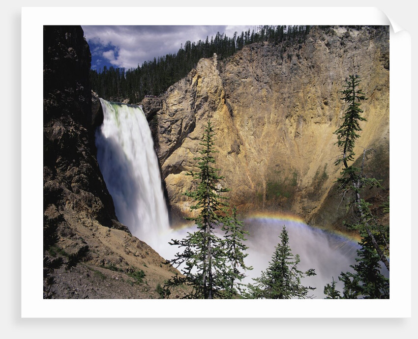 Rainbow at Lower Yellowstone Falls by Anonymous