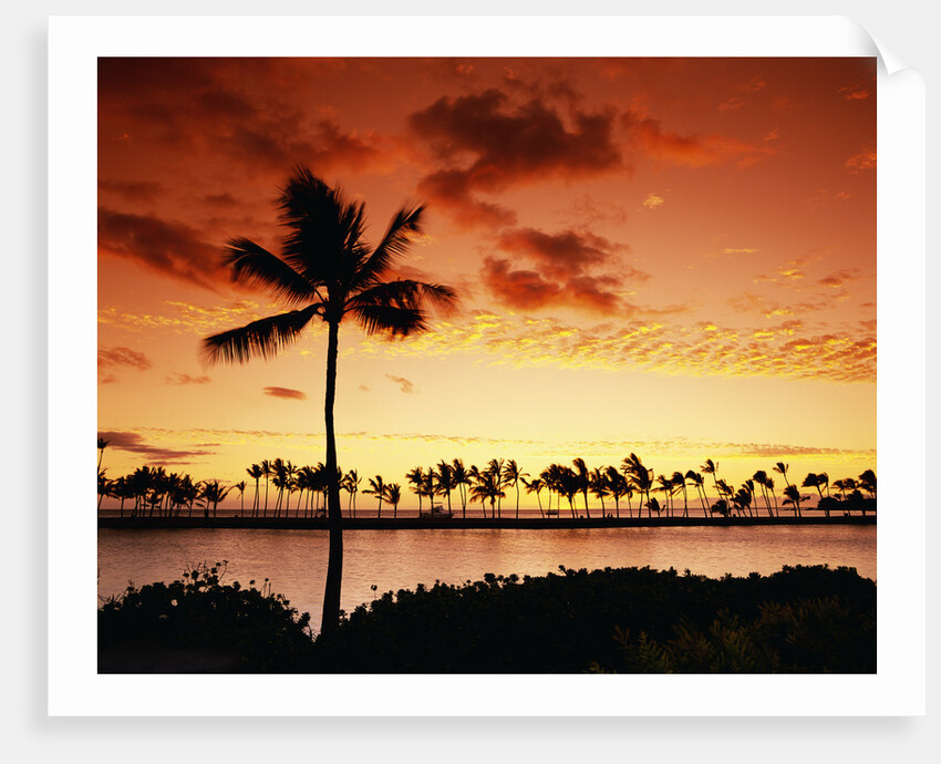 Sunset at Anaehoomalu Bay by Anonymous