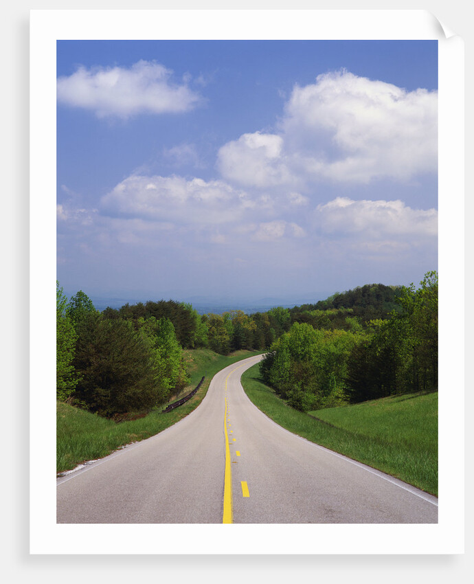 Highway Passing Through Taledega National Forest by Anonymous