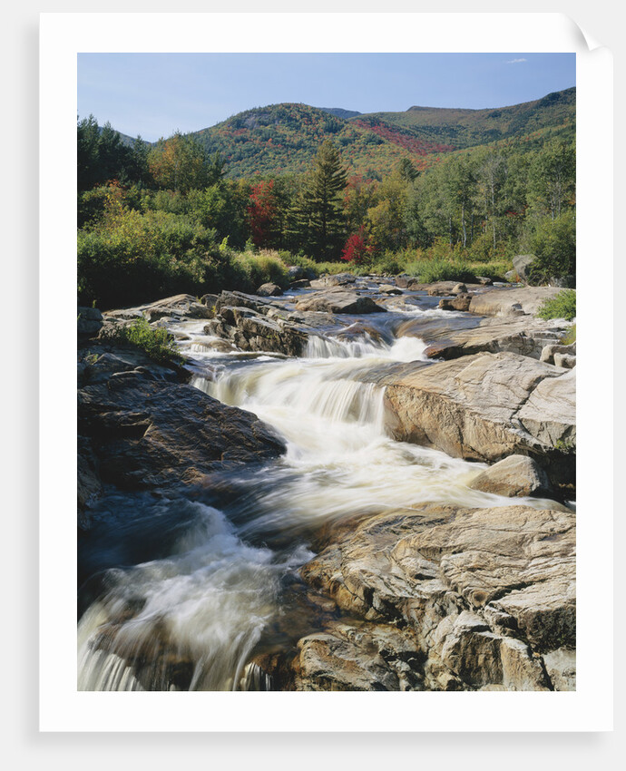 Ausable River Rapids by Anonymous