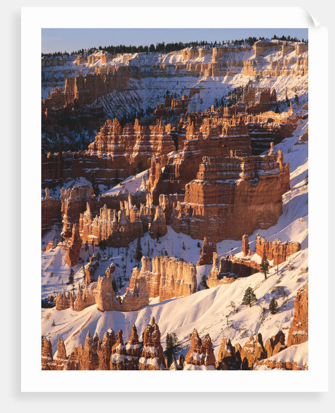 Bryce Canyon Amphitheater by Anonymous