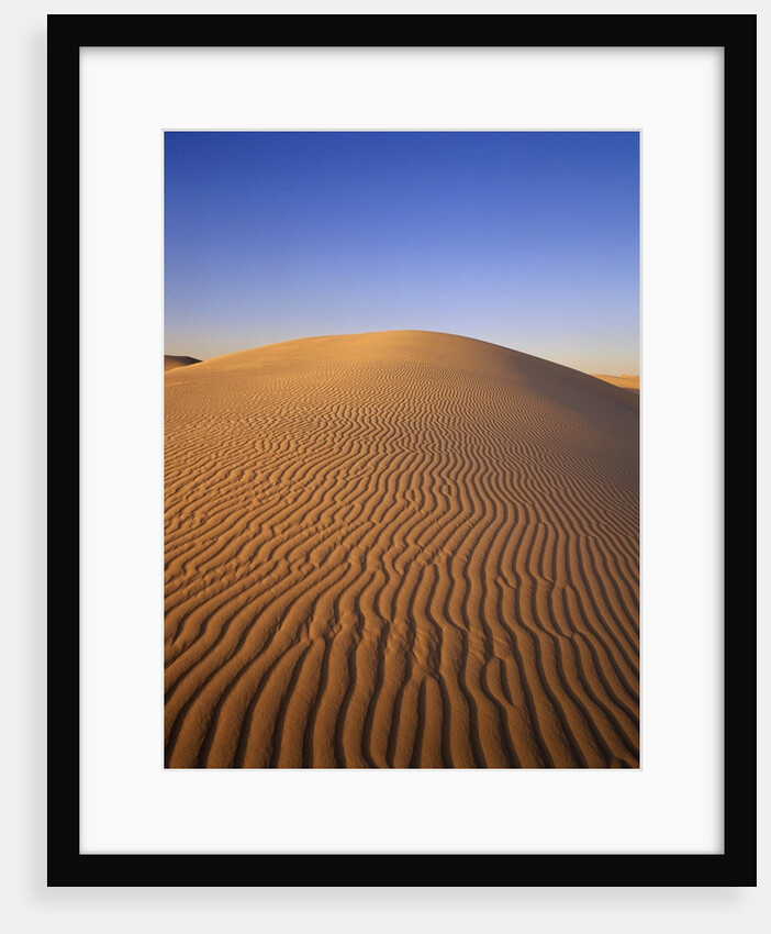 Ripples Covering Sand Dune by Anonymous