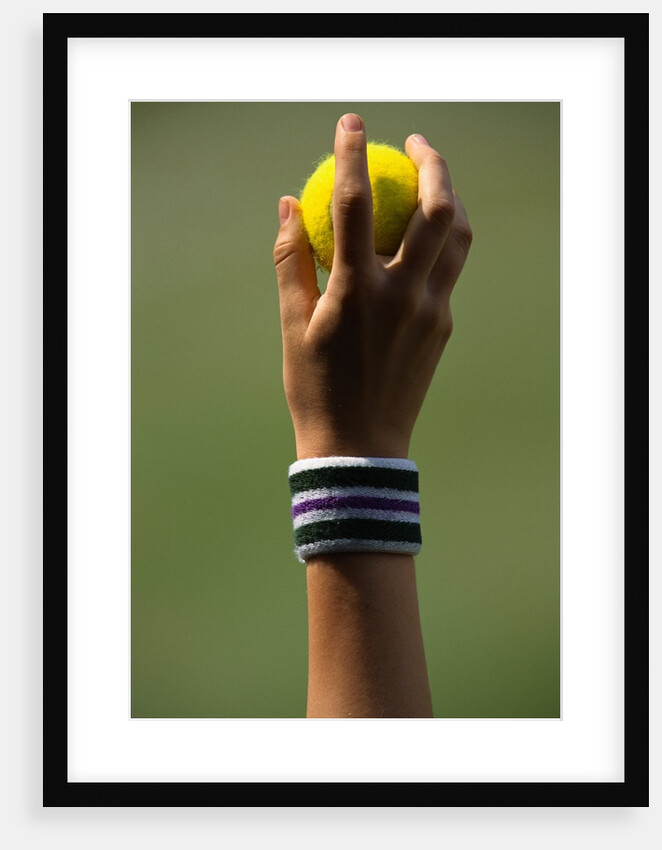 Hand of a Wimbledon Ball Boy Holding a Tennis Ball by Anonymous