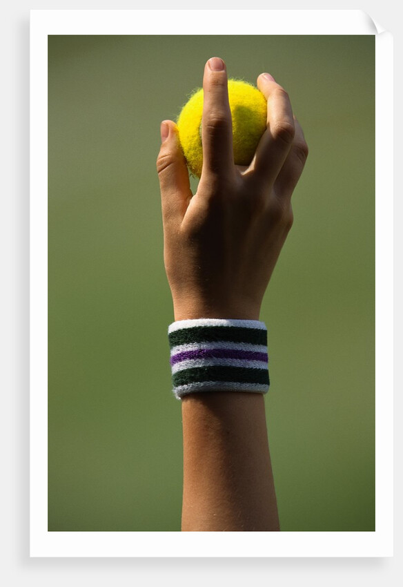 Hand of a Wimbledon Ball Boy Holding a Tennis Ball by Anonymous